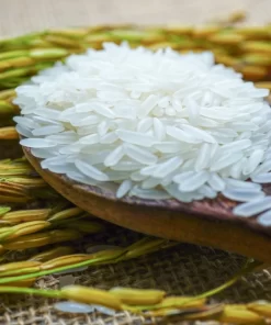 Fragrant RVT rice grains are slender, small and white