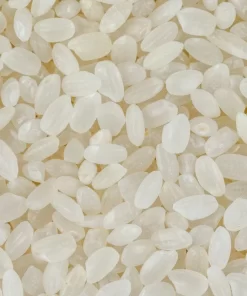 Japonica rice has small and roundish grains