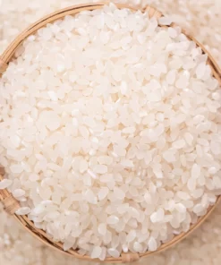 Japonica rice