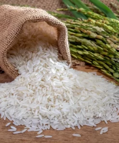 Jasmine fragrant rice and paddy