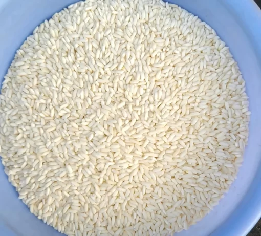 An Giang glutinous rice