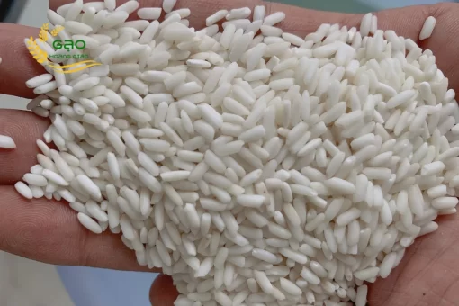 An Giang glutinous rice has a milky white color