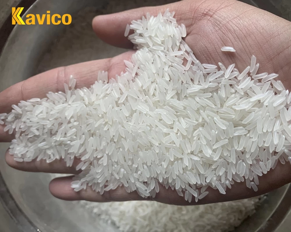ST21 rice sample of Gaokavio