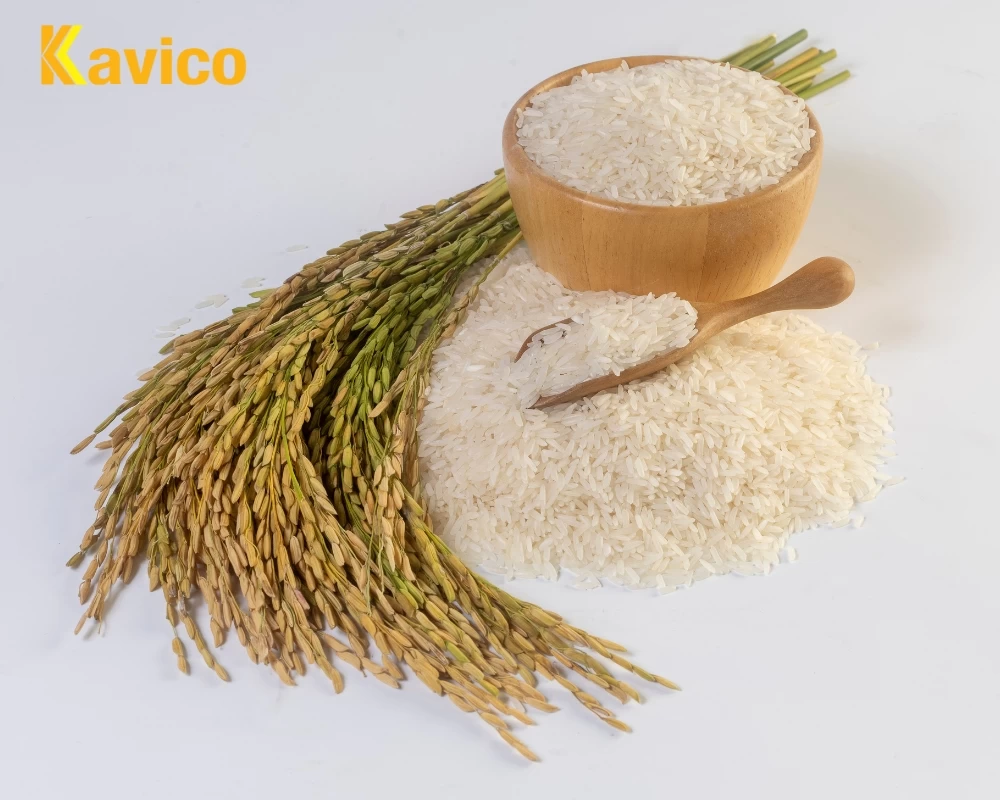 Delicious and cheap rice